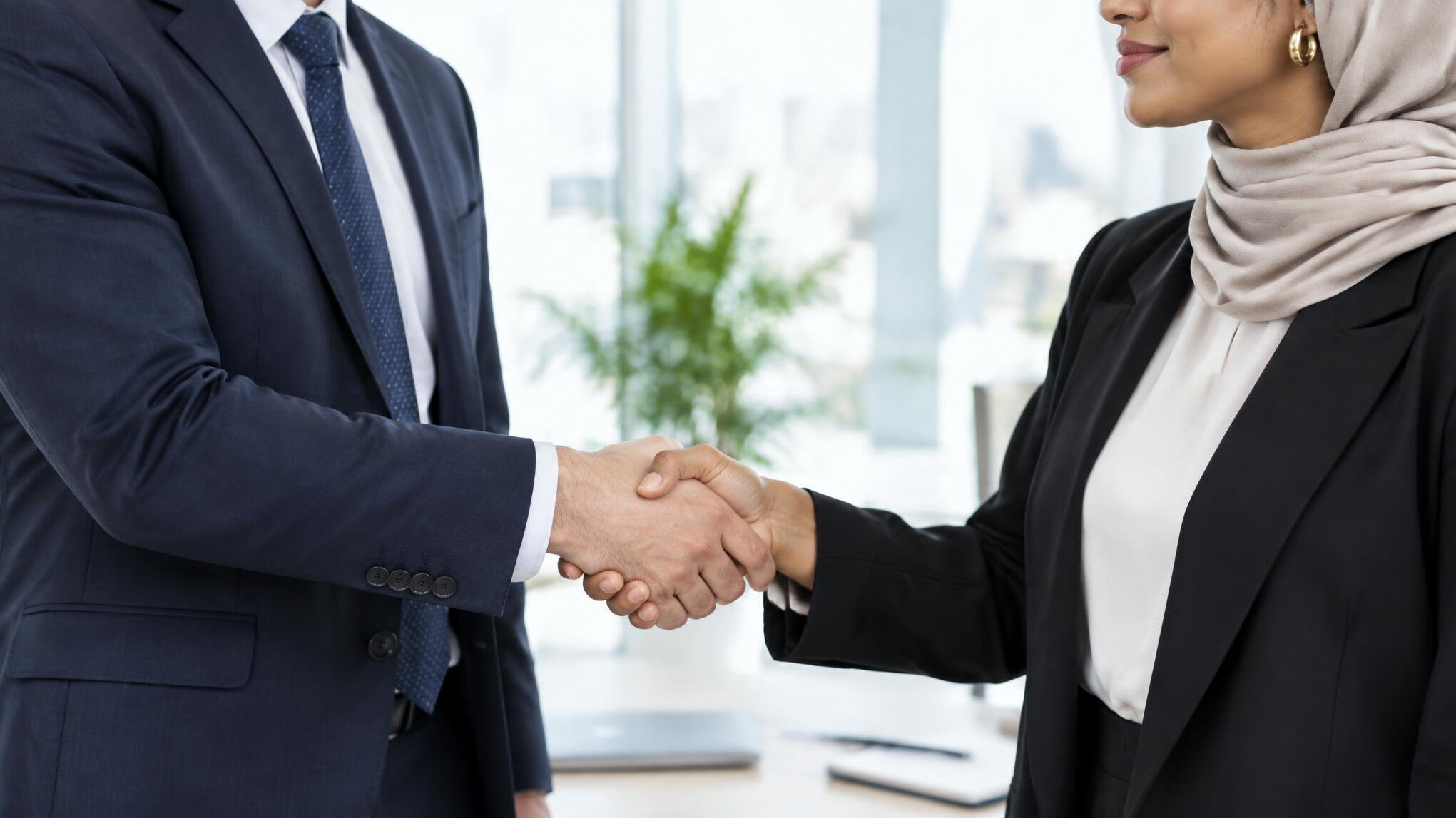 Business handshake between two partners